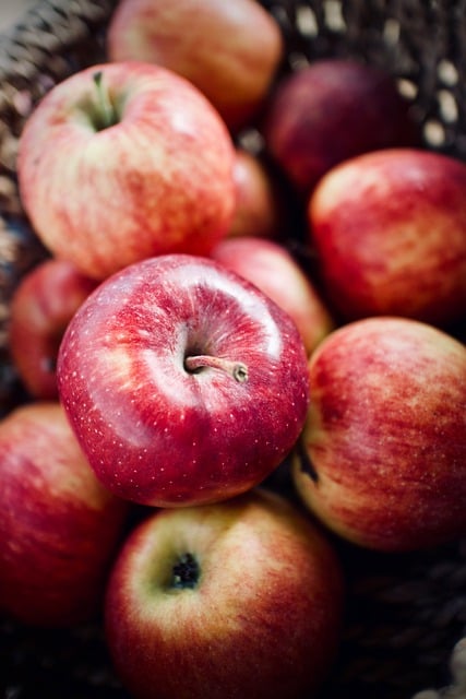 6 Best Things to Include in Your Child’s Daily Nutrition for Growth