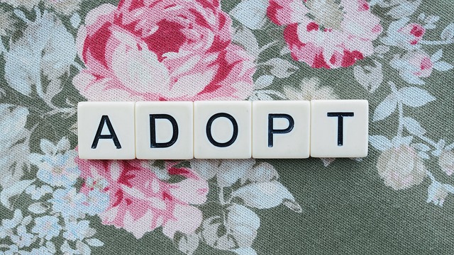 AI Adoption Slows Down: What It Means for Tech Stocks