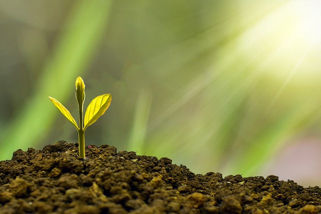 Top 10 Stocks for Long-Term Growth: Your Guide to Building Wealth