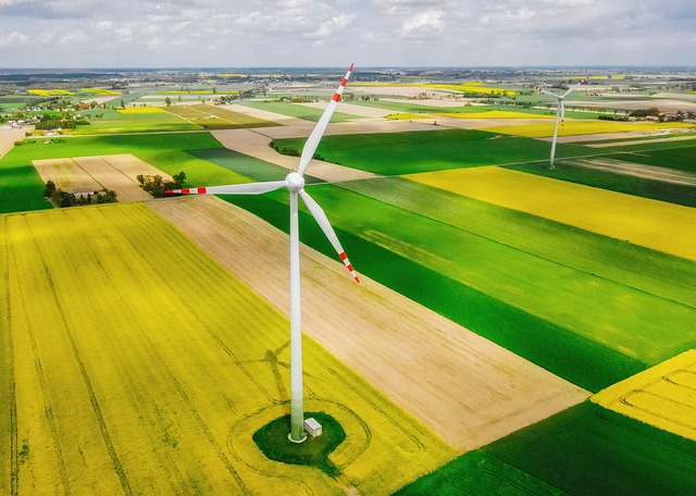 Western Energy Stocks: Winners Amid Global Supply Shocks