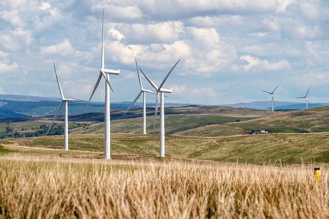 Western Energy Stocks: Winners Amid Global Supply Shocks